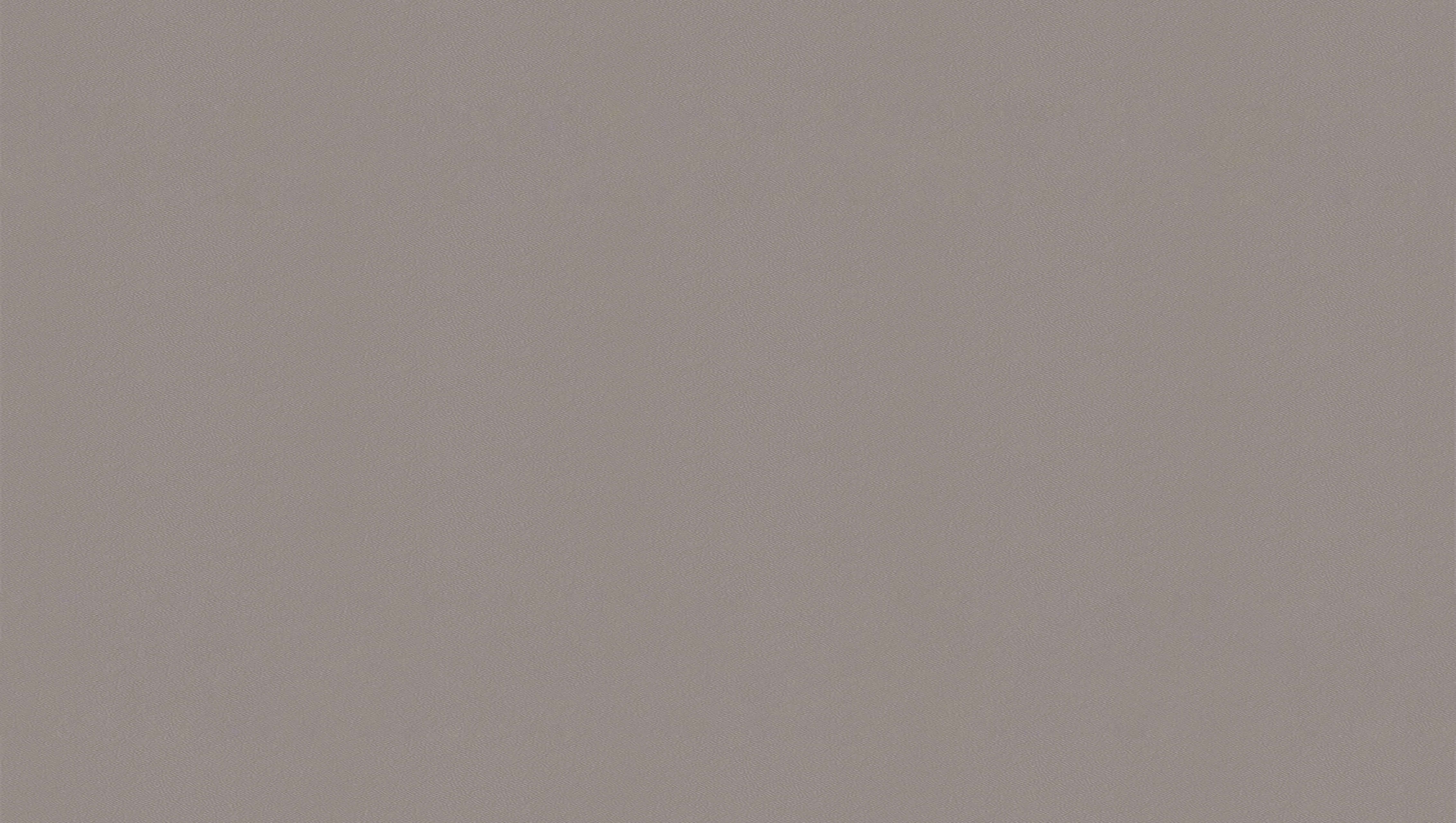 鼹鼠灰