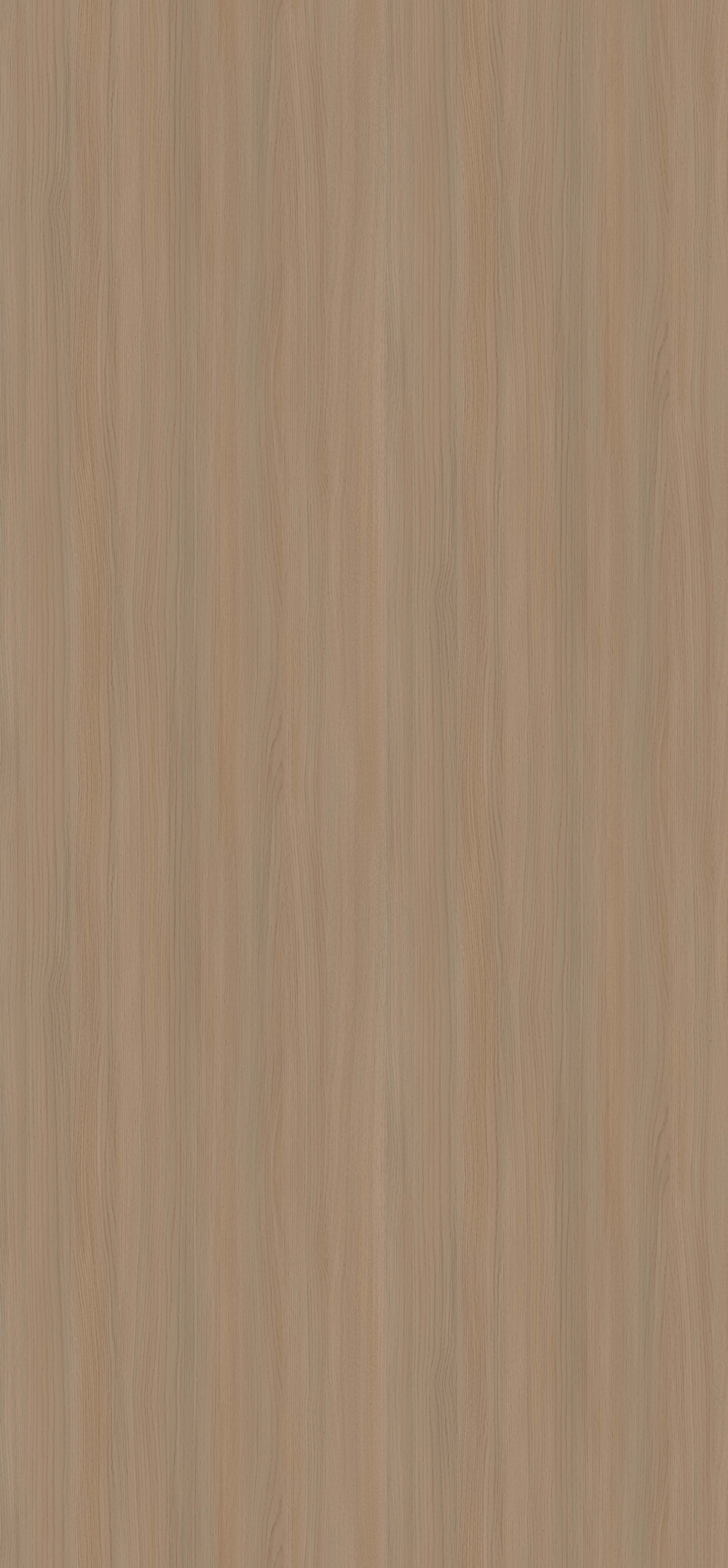 西雅图橡木