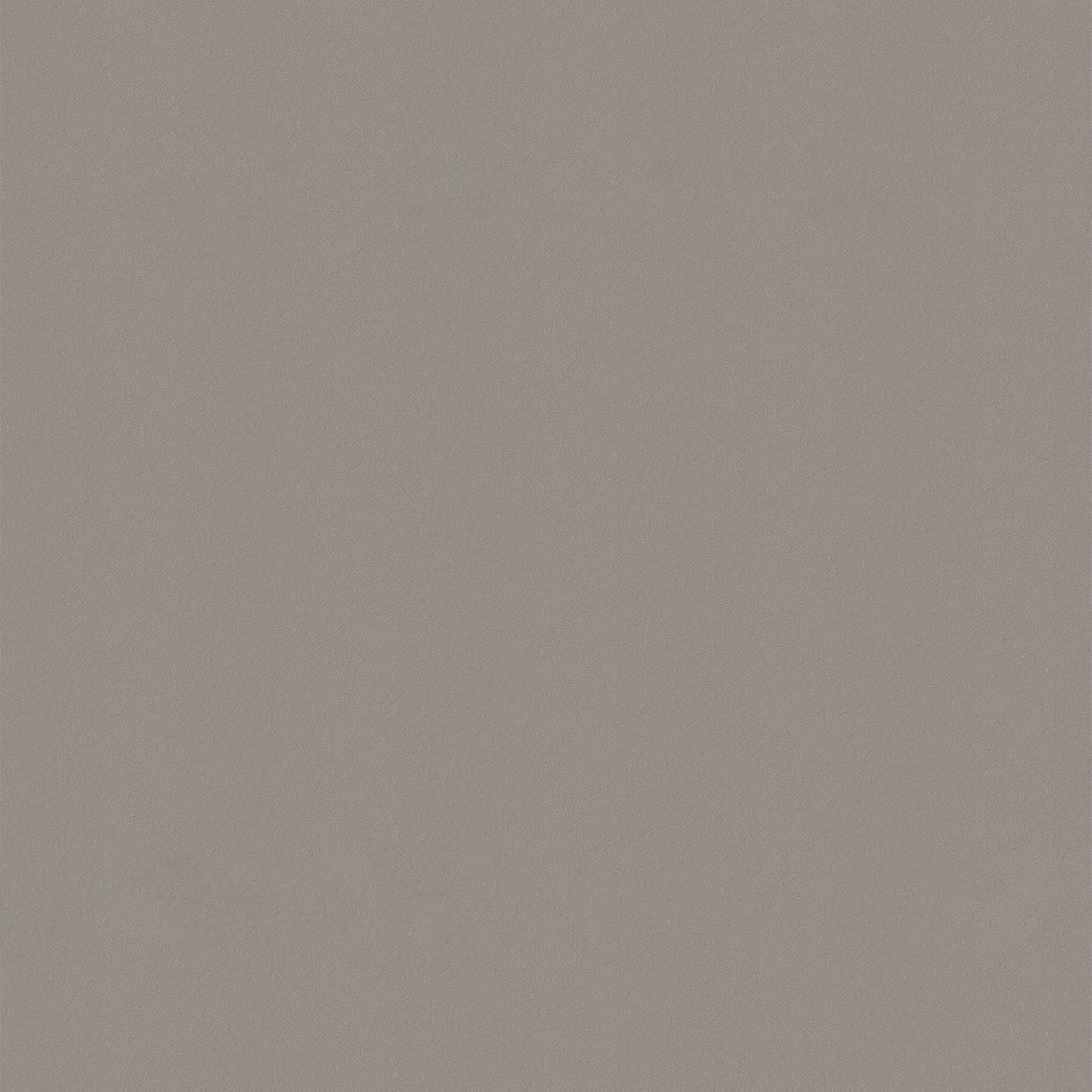 鼹鼠灰