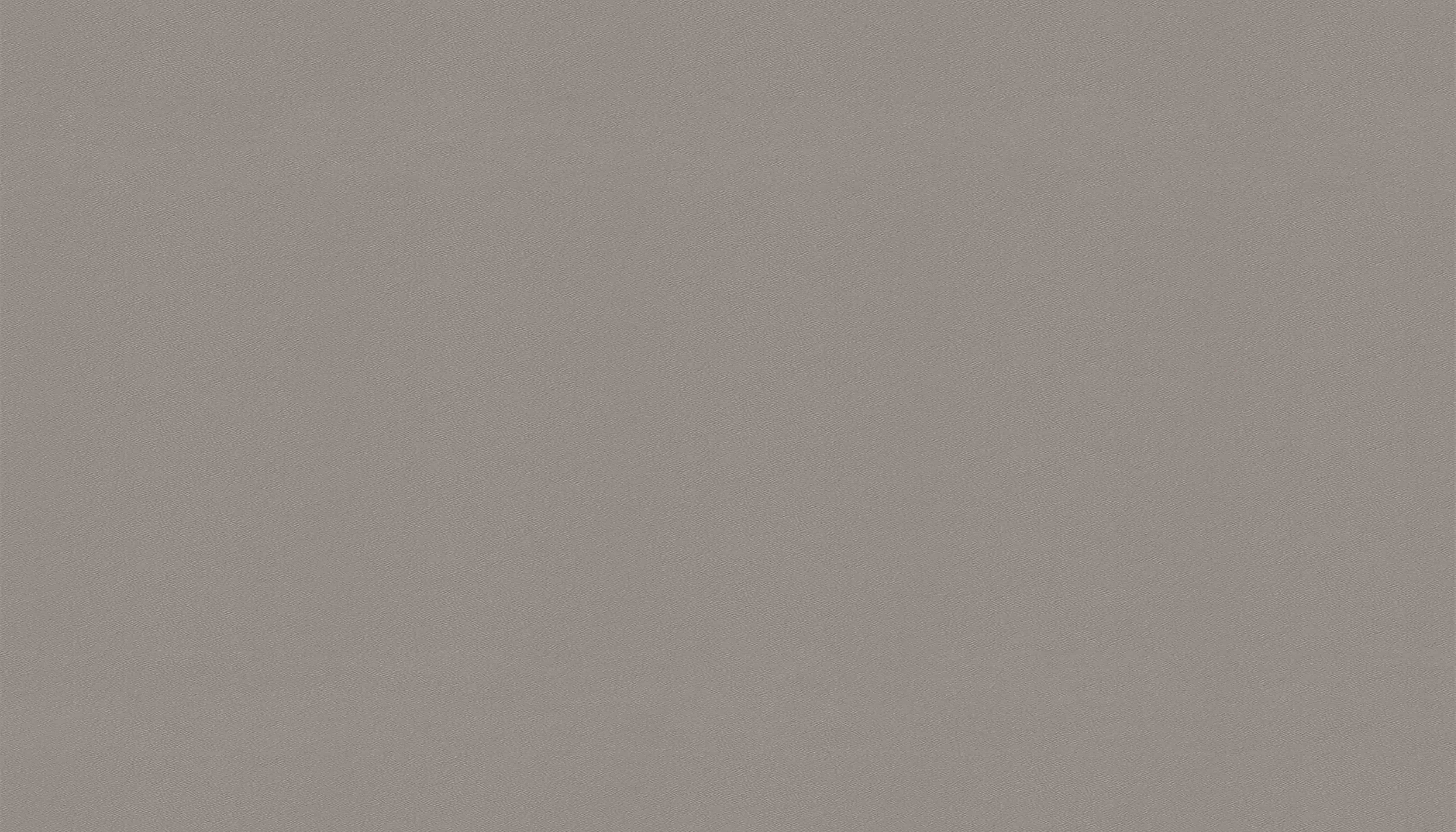 鼹鼠灰