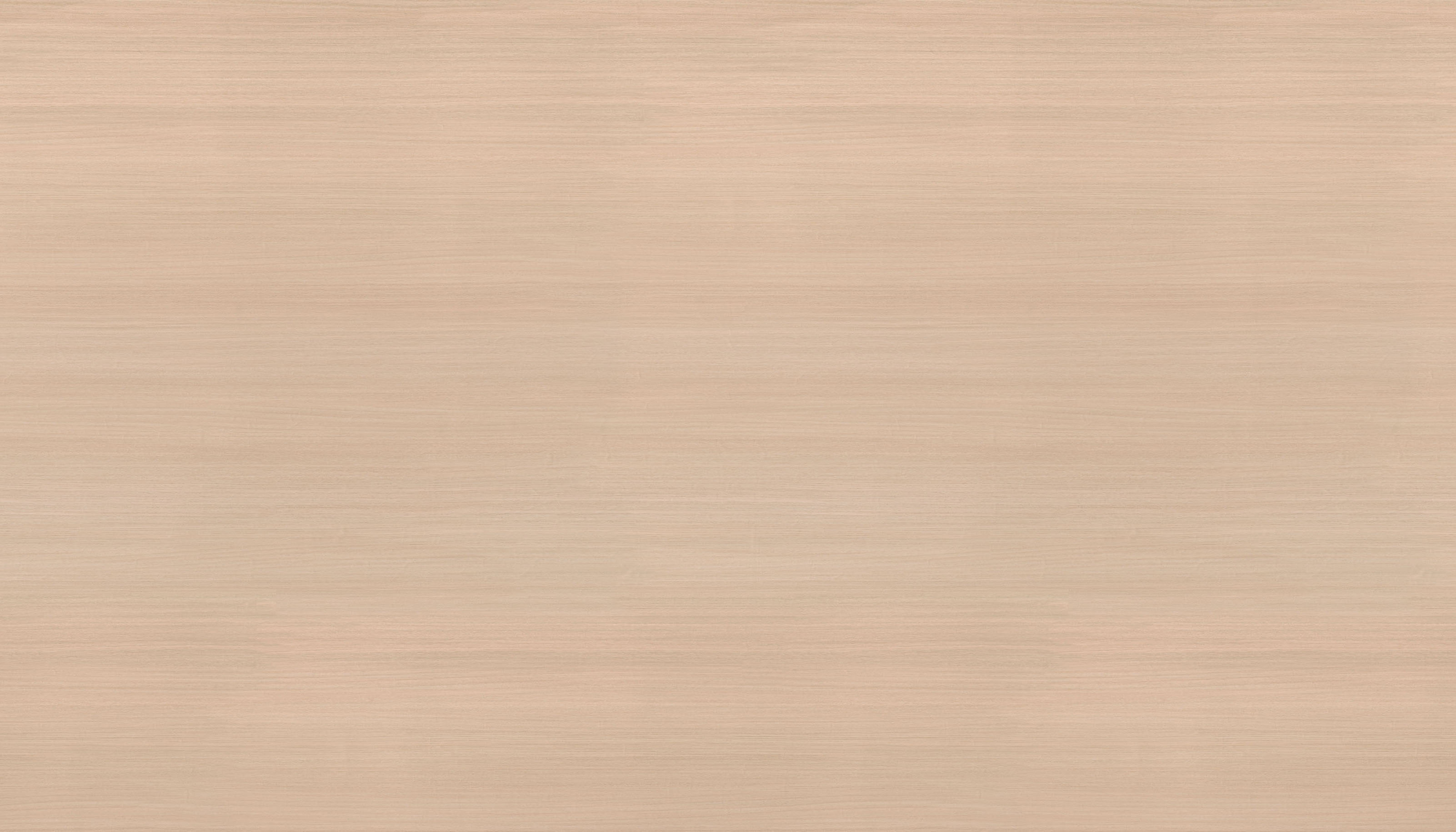 森屿核桃
