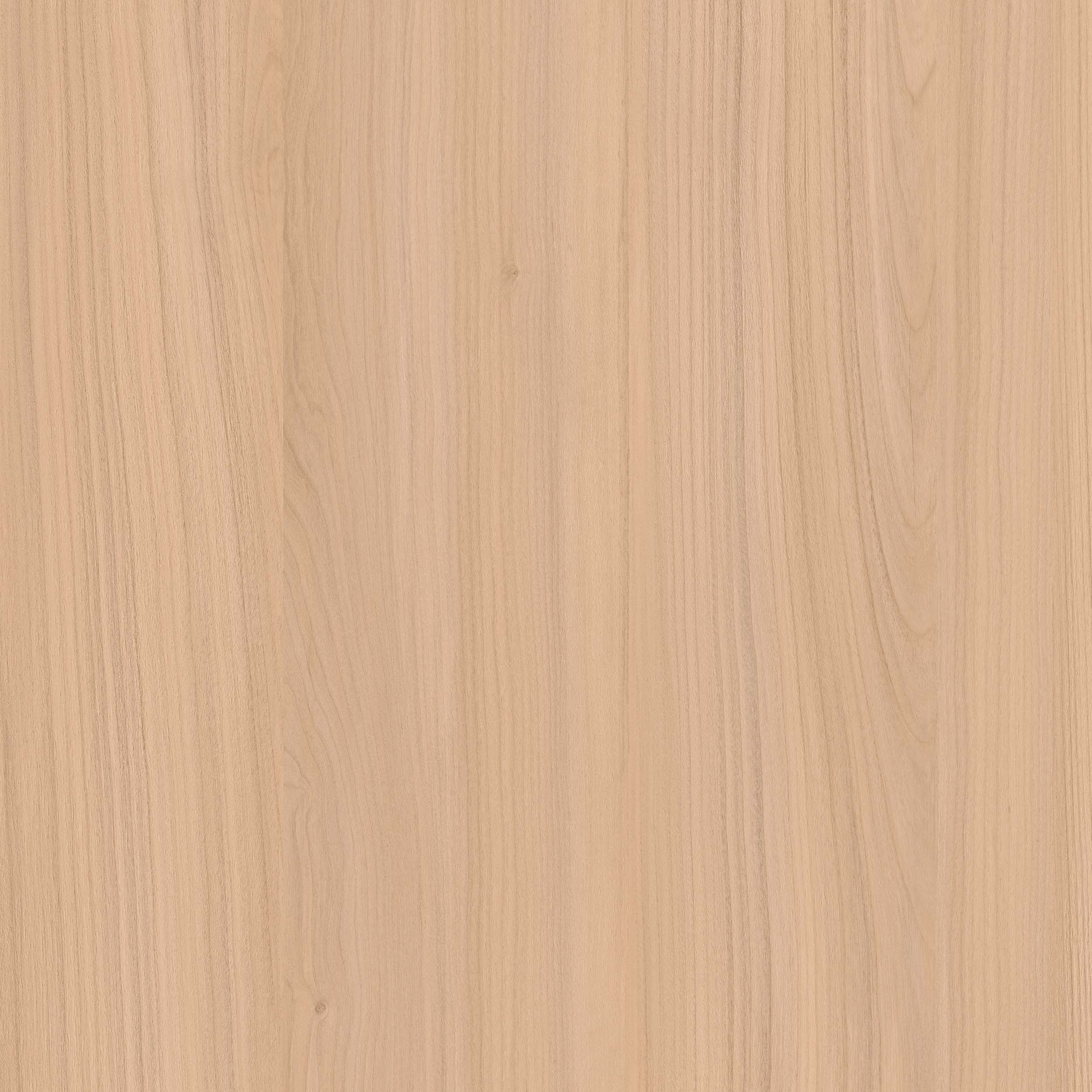 WS960-2