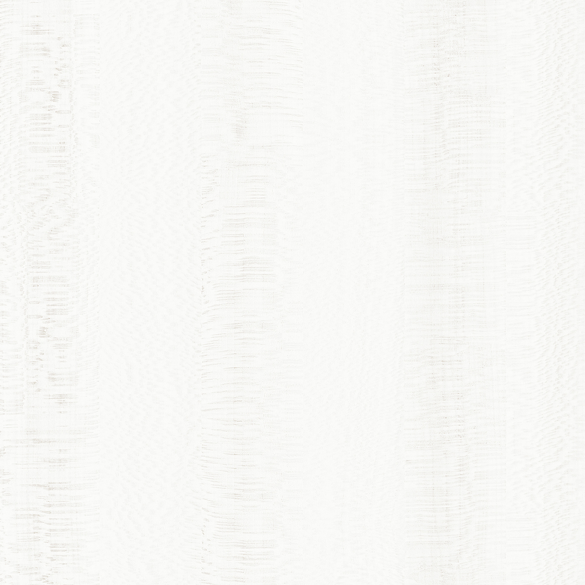 雾光影木